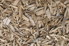 biomass boilers Speen